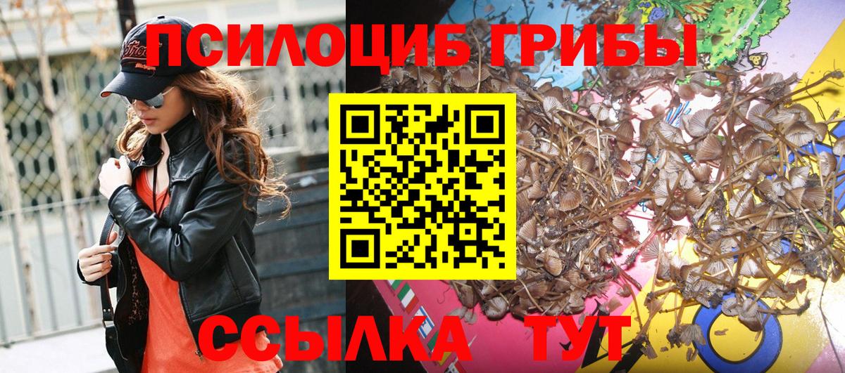 Псилоцибиновые грибы Magic Shrooms Керчь